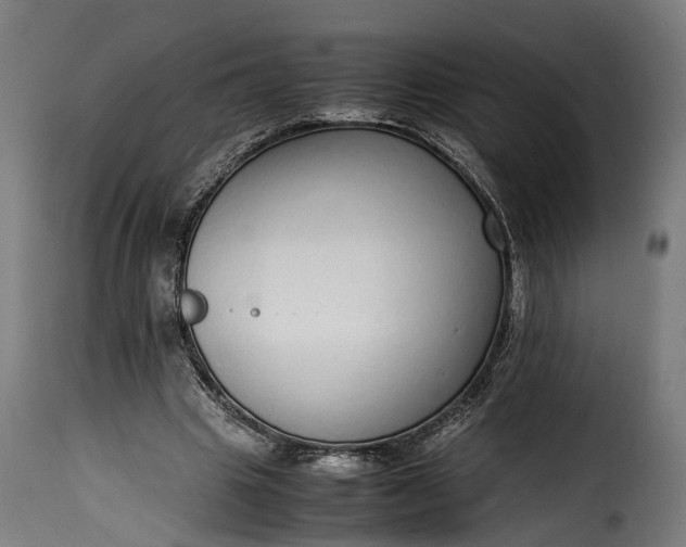 X0000115640441200911241715