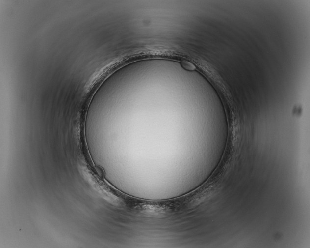 X0000115640442200911241715