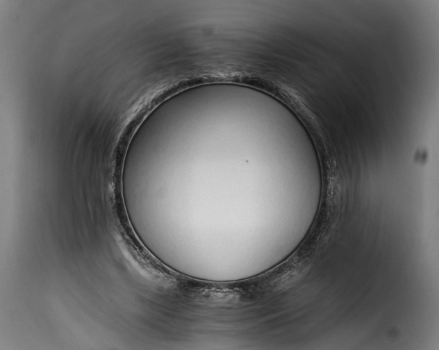 X0000115640443200911241715