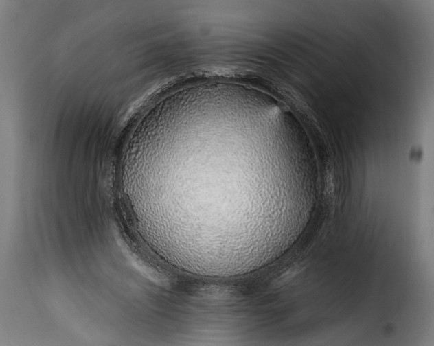 X0000115640444200911241715