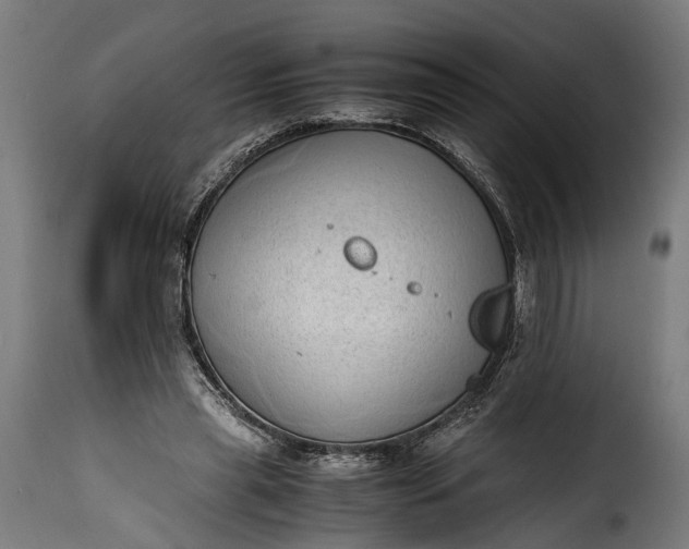 X0000115640445200911241715