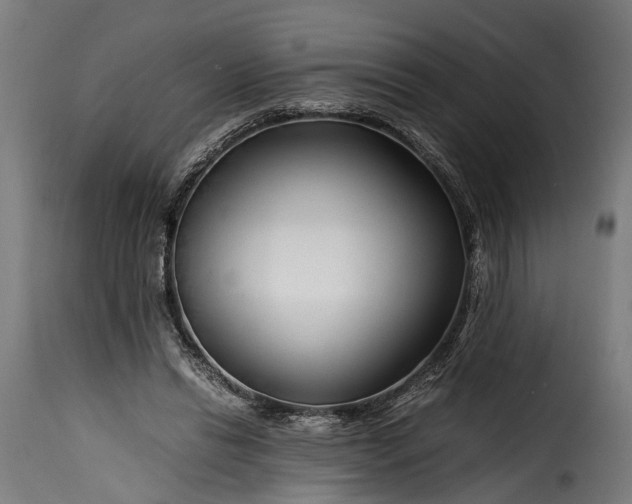 X0000115640446200911241715