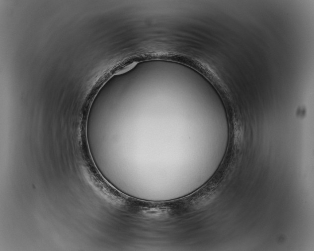 X0000115640447200911241715