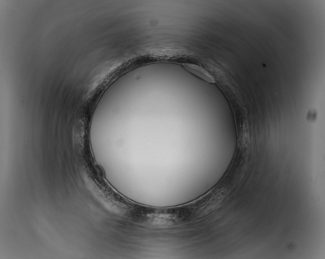 X0000115640448200911241715