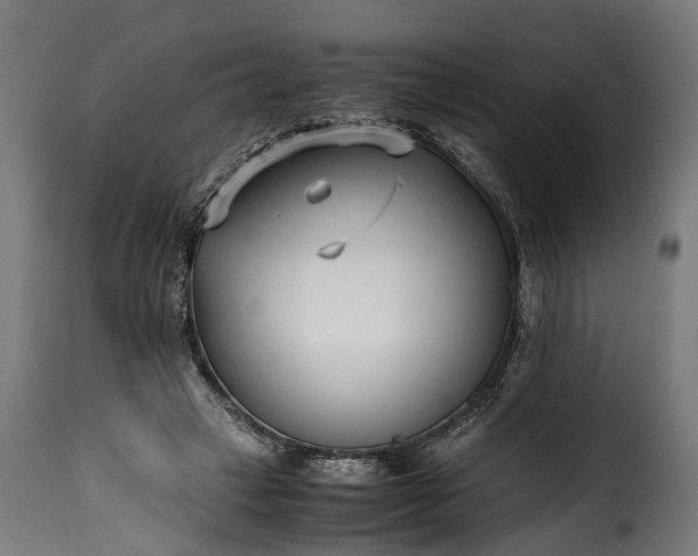 X0000115640449200911241715