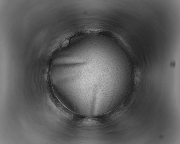 X0000115640451200911241715