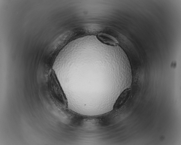 X0000115640452200911241715