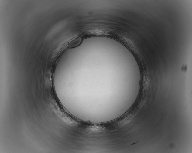 X0000115640453200911241715