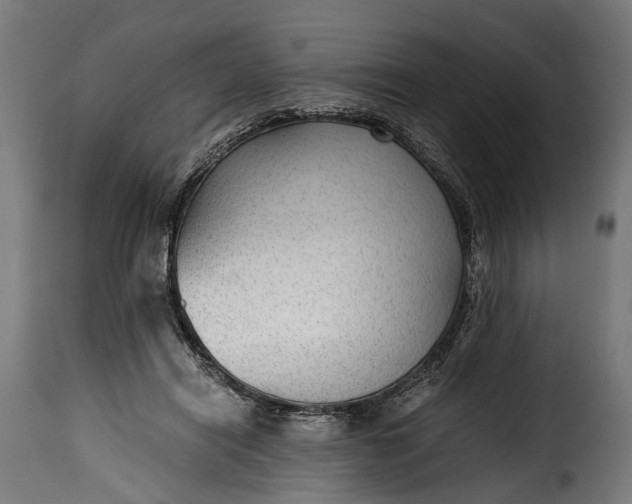 X0000115640454200911241715