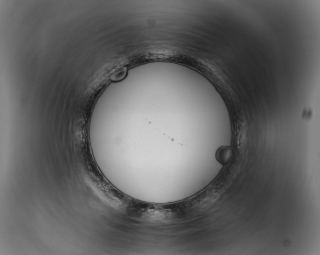 X0000115640455200911241715