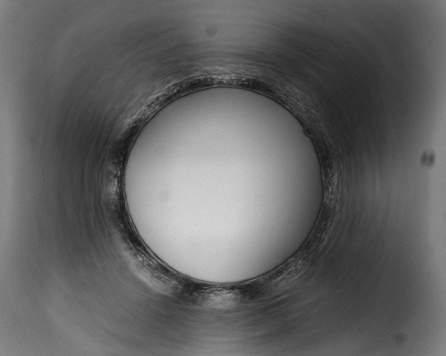 X0000115640456200911241715