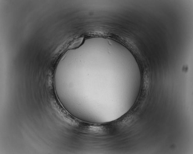 X0000115640457200911241715