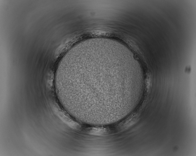 X0000115640458200911241715