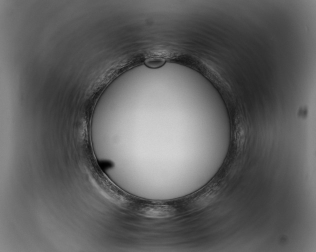 X0000115640459200911241715