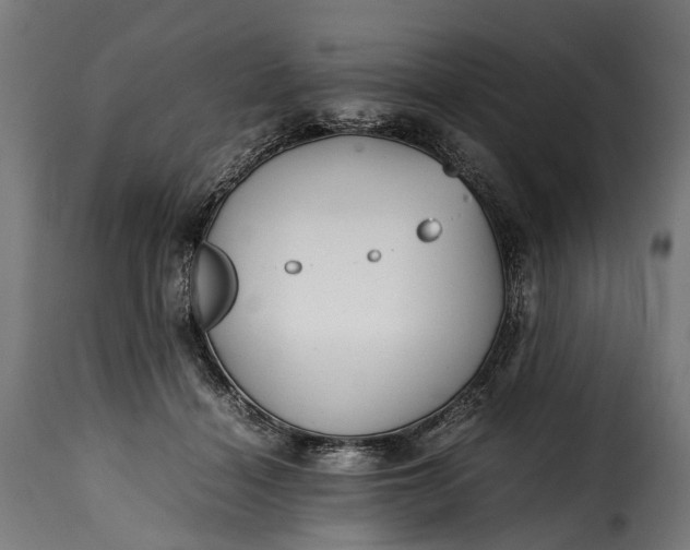 X0000115640460200911241715