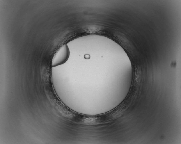 X0000115640461200911241715