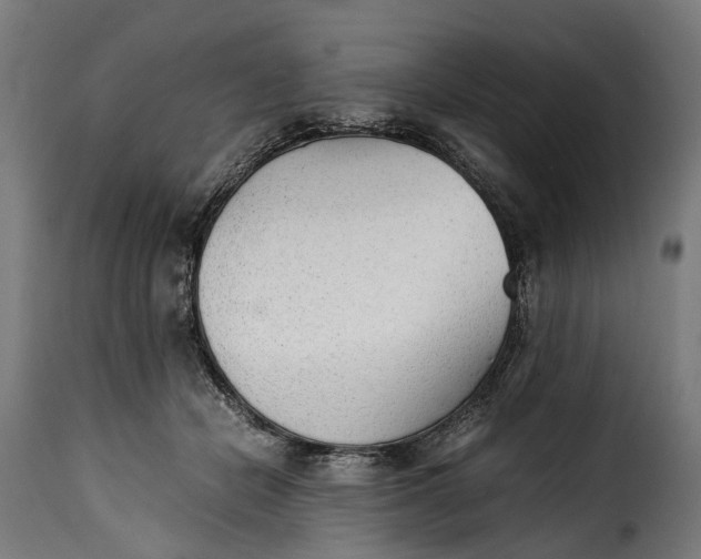 X0000115640462200911241715