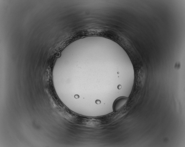 X0000115640463200911241715