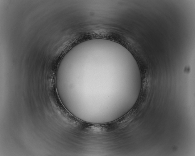 X0000115640464200911241715