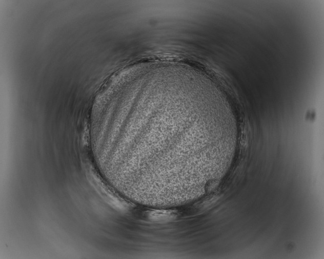 X0000115640465200911241715