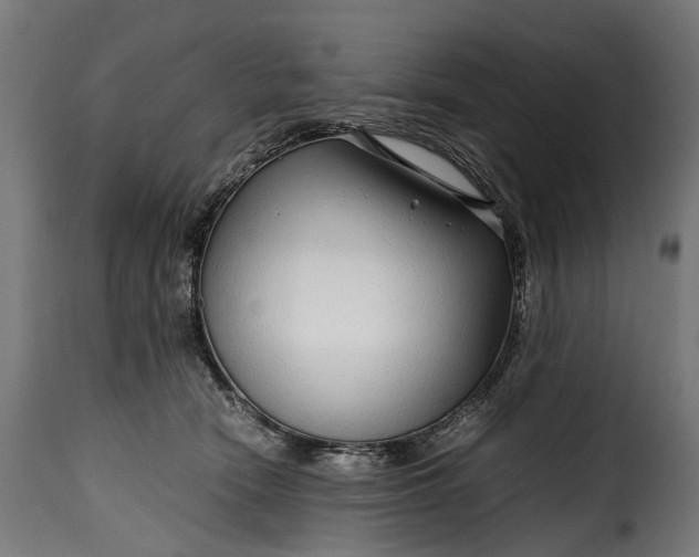 X0000115640466200911241715