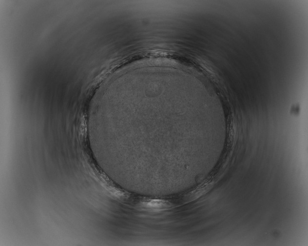 X0000115640467200911241715