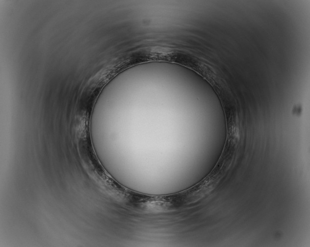 X0000115640468200911241715