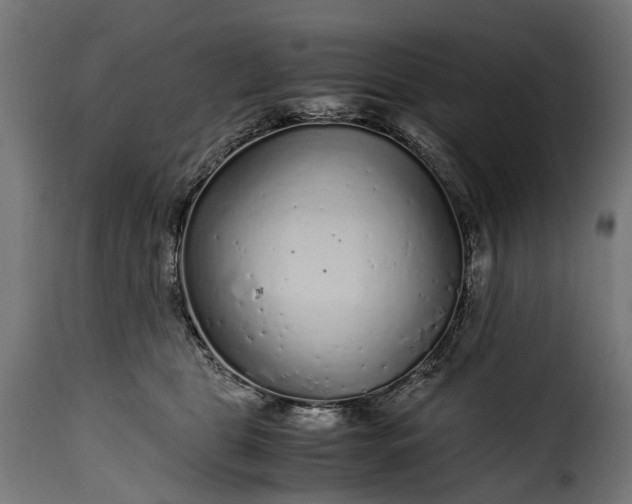 X0000115640469200911241715