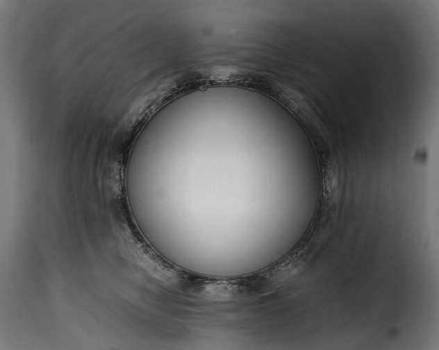 X0000115640470200911241715