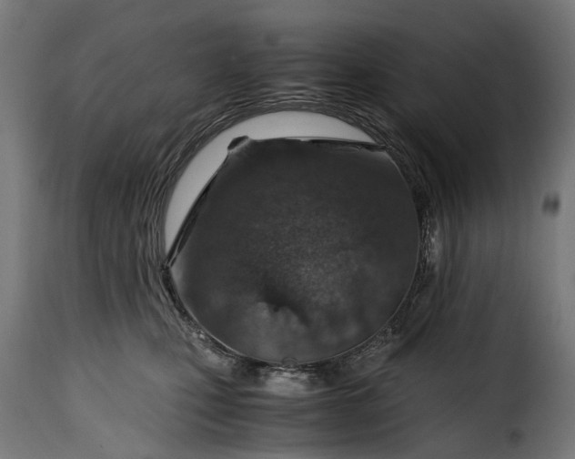 X0000115640471200911241715