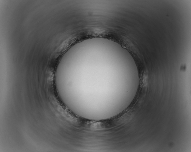 X0000115640472200911241715