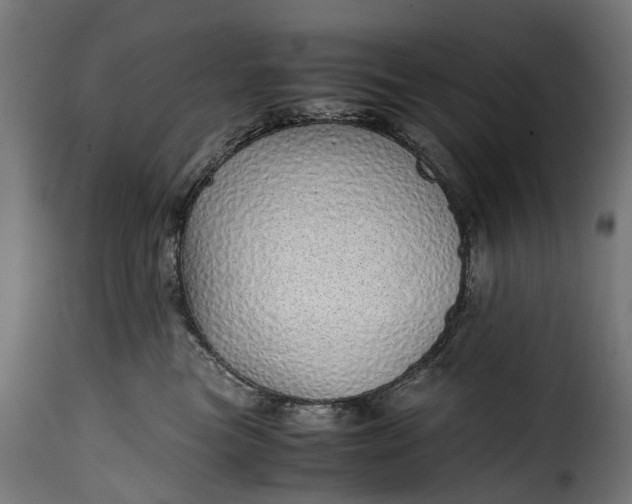 X0000115640473200911241715