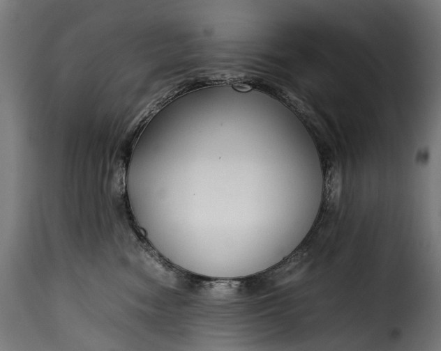 X0000115640474200911241715