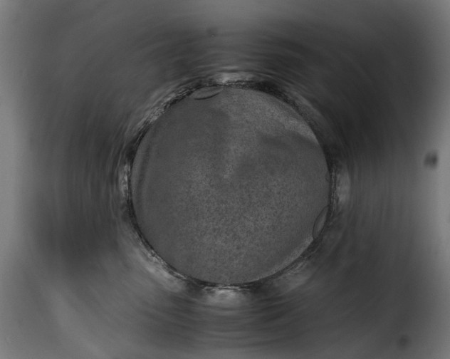 X0000115640475200911241715