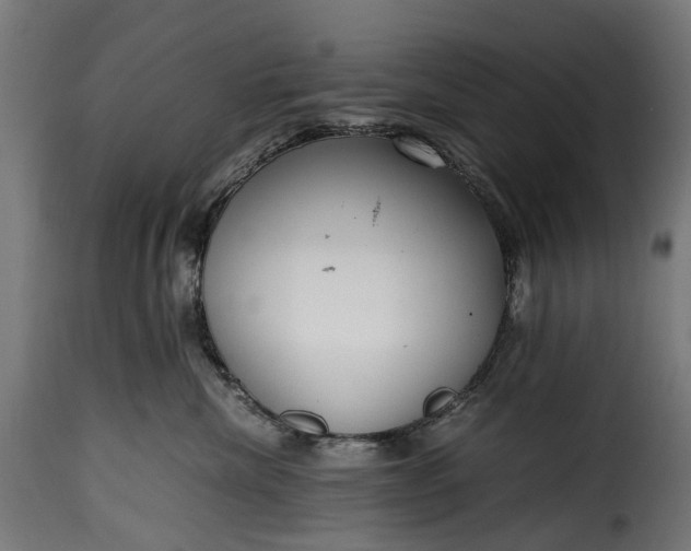 X0000115640476200911241715