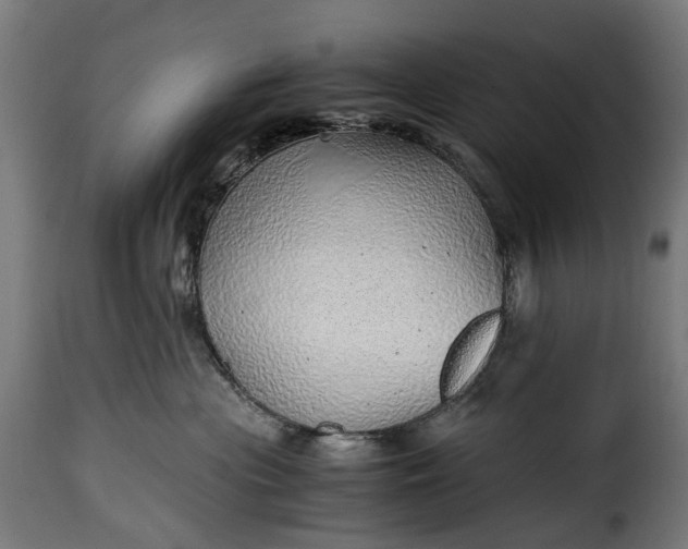 X0000115640477200911241715