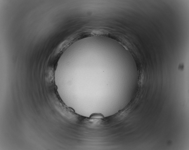 X0000115640478200911241715