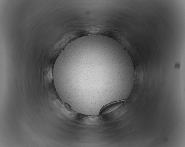 X0000115640479200911241715