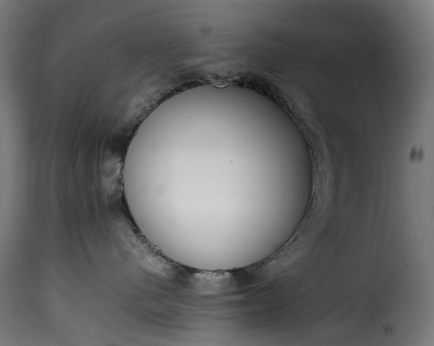 X0000115640480200911241715