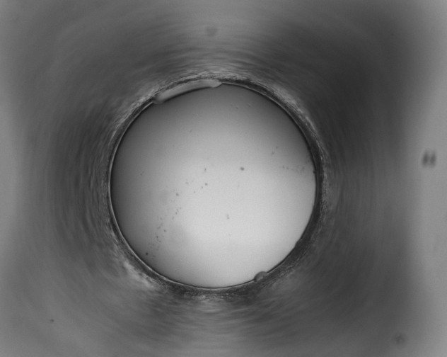 X0000115640481200911241715