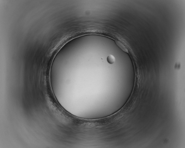 X0000115640482200911241715