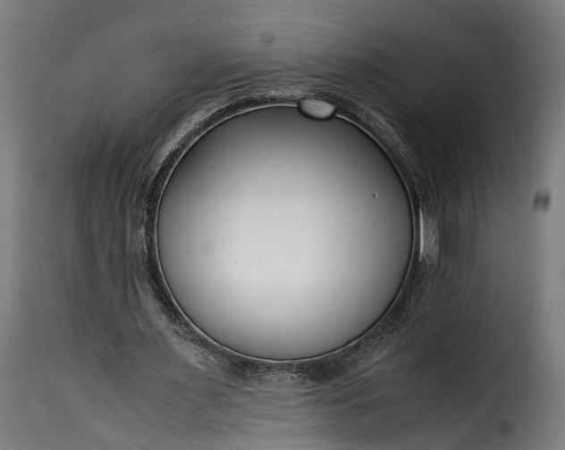 X0000115640483200911241715