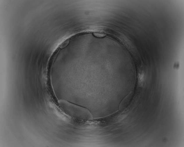 X0000115640484200911241715