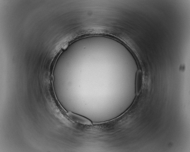 X0000115640485200911241715