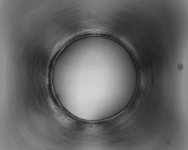 X0000115640486200911241715