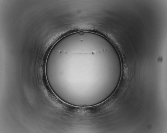 X0000115640487200911241715