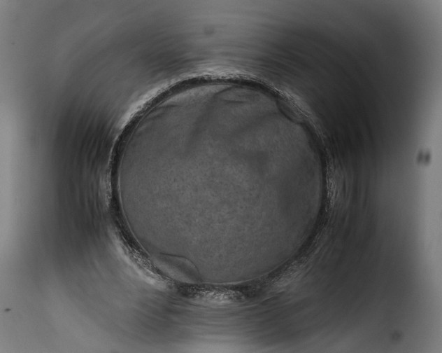 X0000115640488200911241715