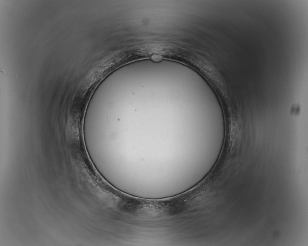 X0000115640489200911241714