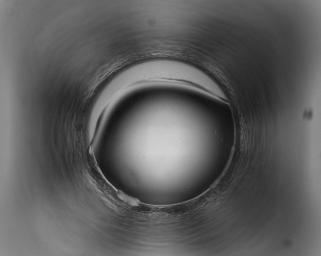 X0000115640490200911241714