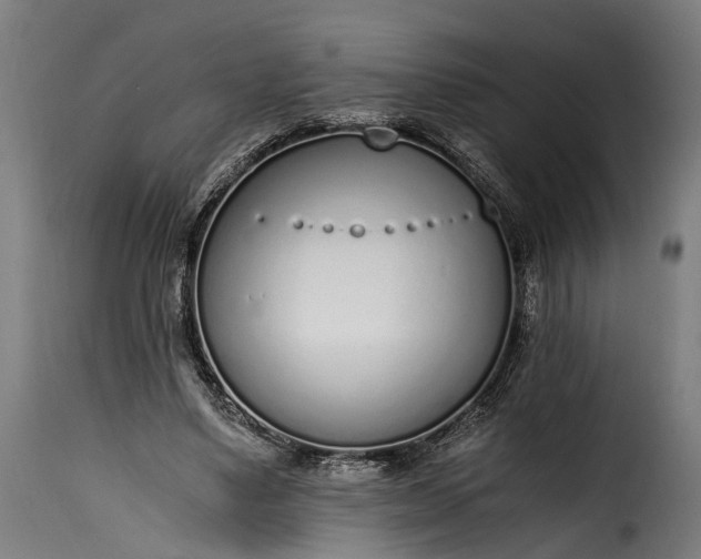 X0000115640491200911241714